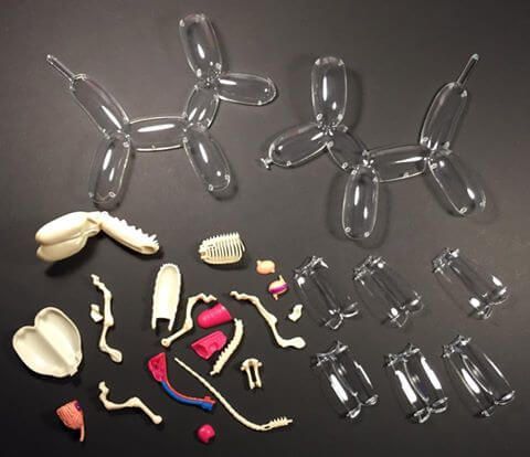 Balloon Dog Anatomy by 4D Master x jason freeny unboxed