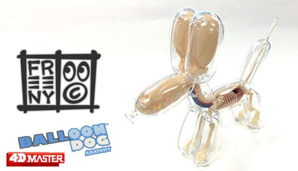The-Balloon-Dog-Anatomy-by-Jason-Freeny-x-4D-Frame-Master-