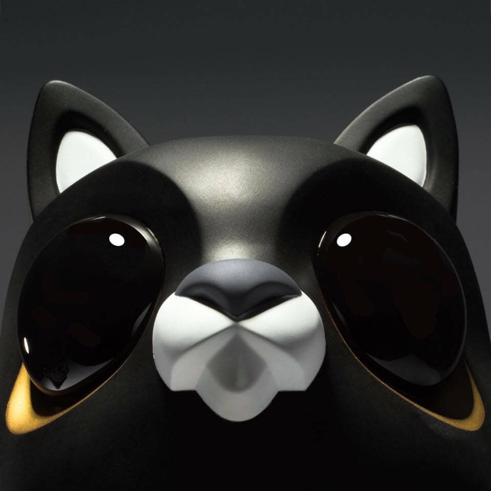 Coarse 2016 cat n dead fish