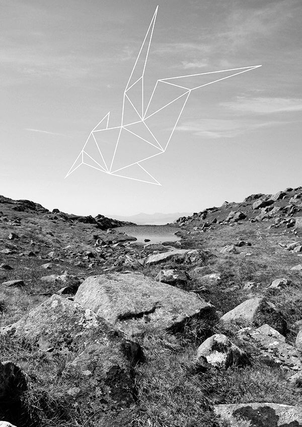 Groundings 01-alu