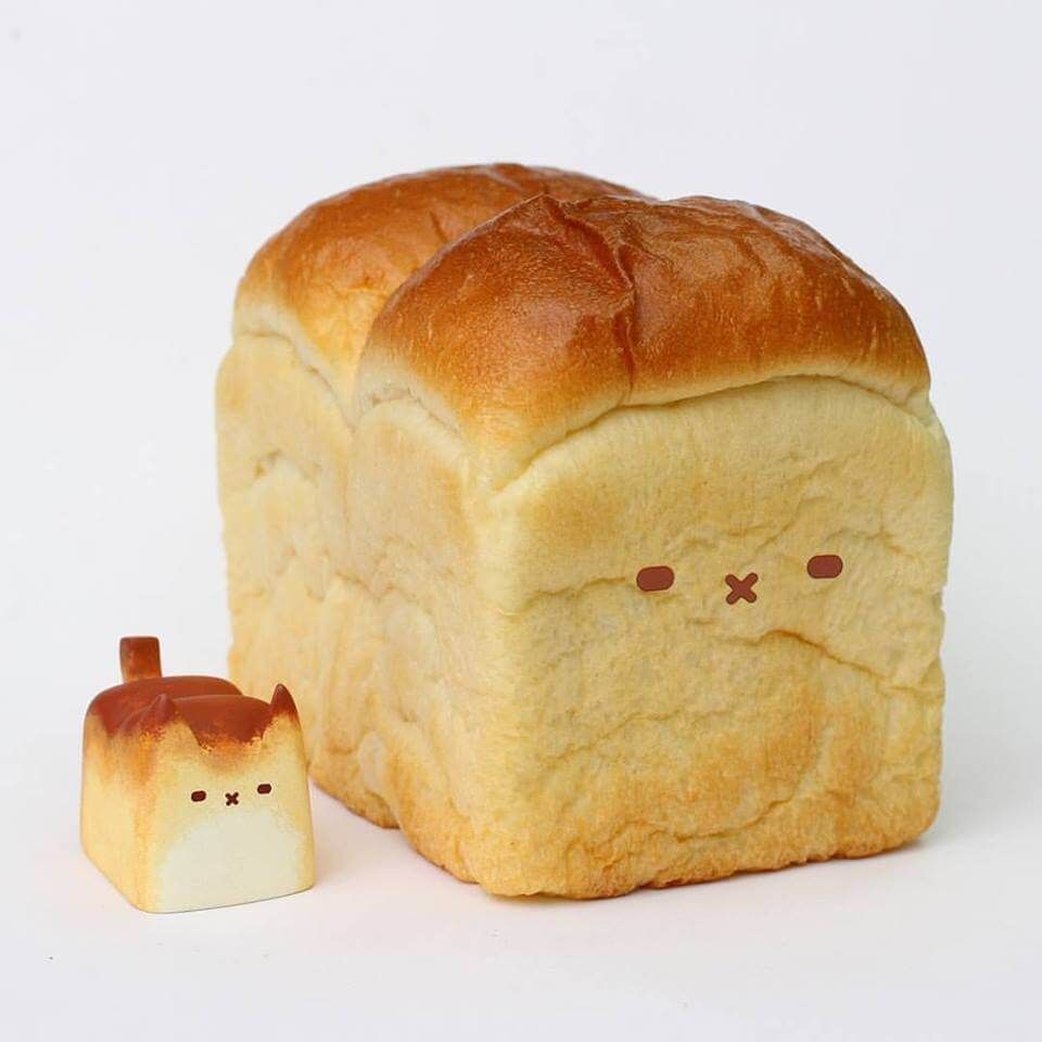 The BREADCAT By Rato Workroom 2