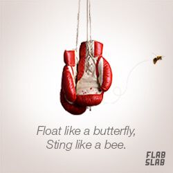 flabslab_ttc