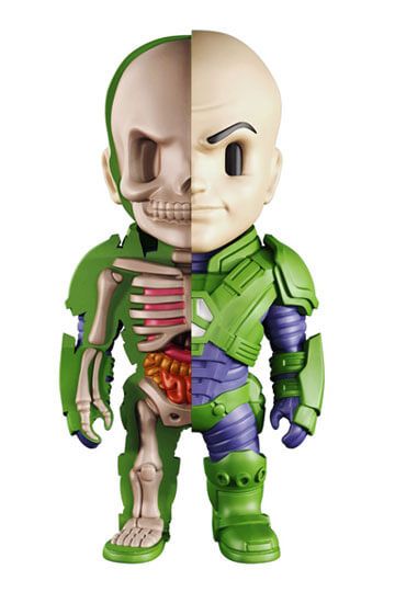 dc-comics-xxray-figure-wave-6-lex-luthor-jason-freeny-x-mighty-jaxx