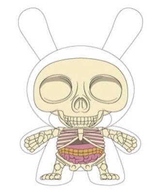 visible-anatomical-dunny-by-jason-freeny-x-kidrobot-front