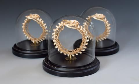 3_snakes_dome1