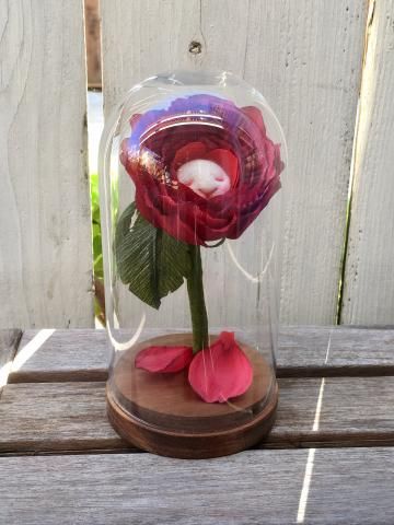 Tamed Rose