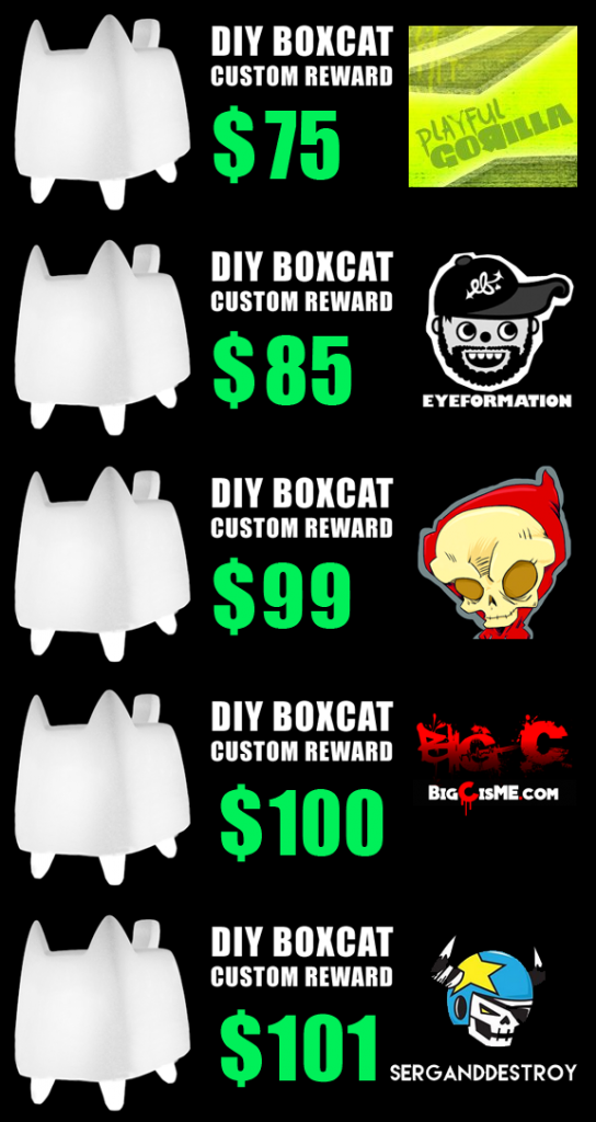 kickstarter-diy-boxcat-2