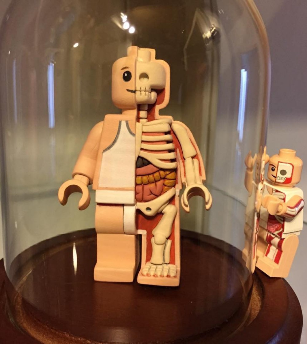 Micro Anatomic Anatomy Mini Fig By Jason Freeny x Mighty Jaxx The Toy
