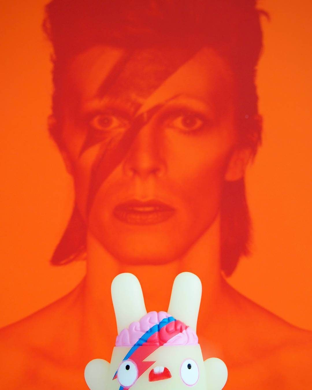 dollyoblongBowie