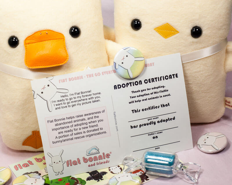 Flat-Bonnie-Adopt-A-Plush-Certificate