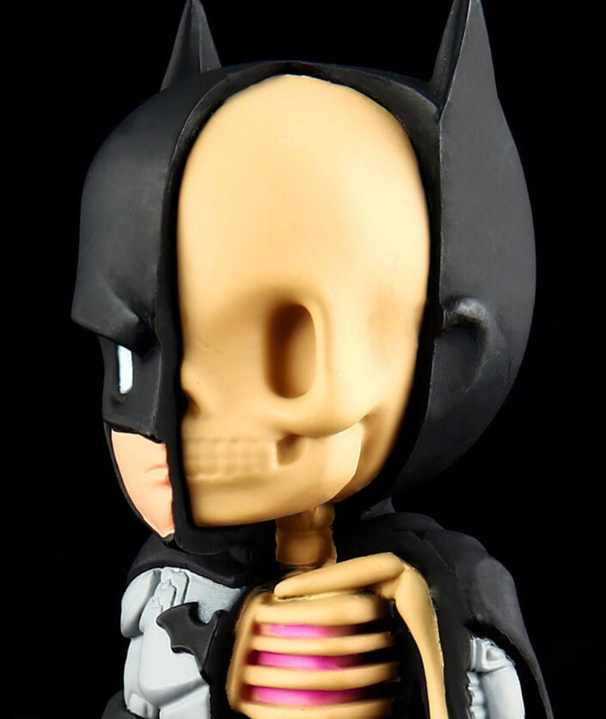 jason freeny xxray