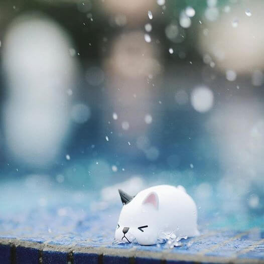 Smirk Daydream Nimbus rain