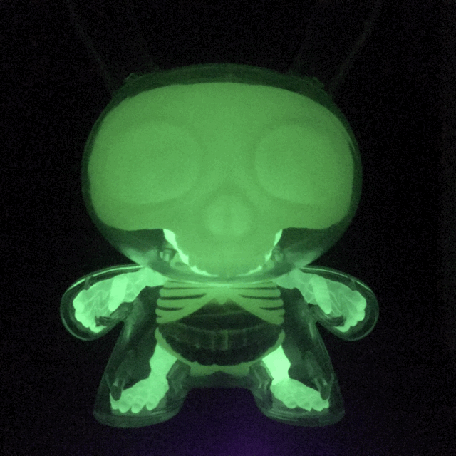 visible-dunny-gid-spin