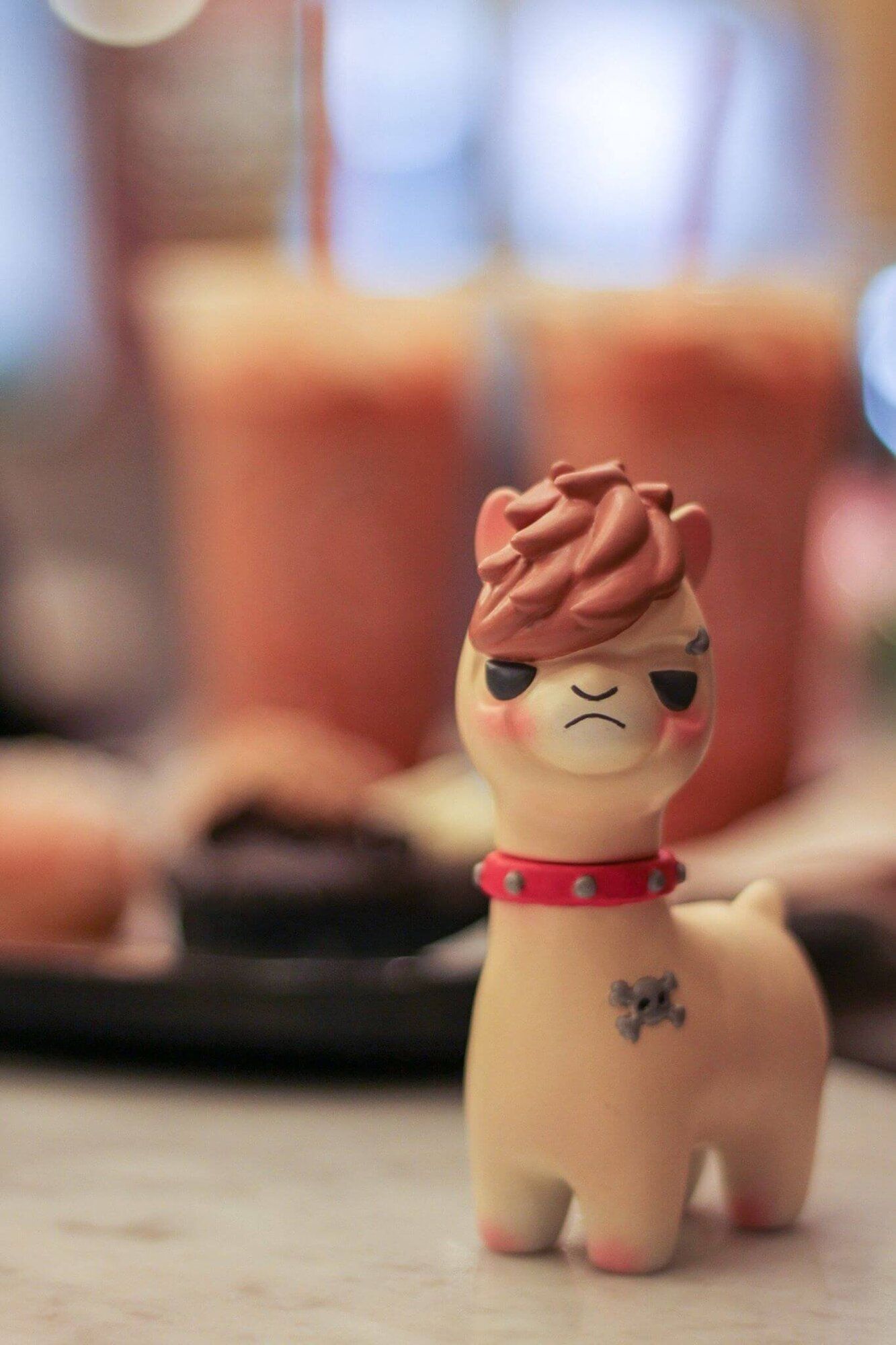 pakka-the-alpaca-1