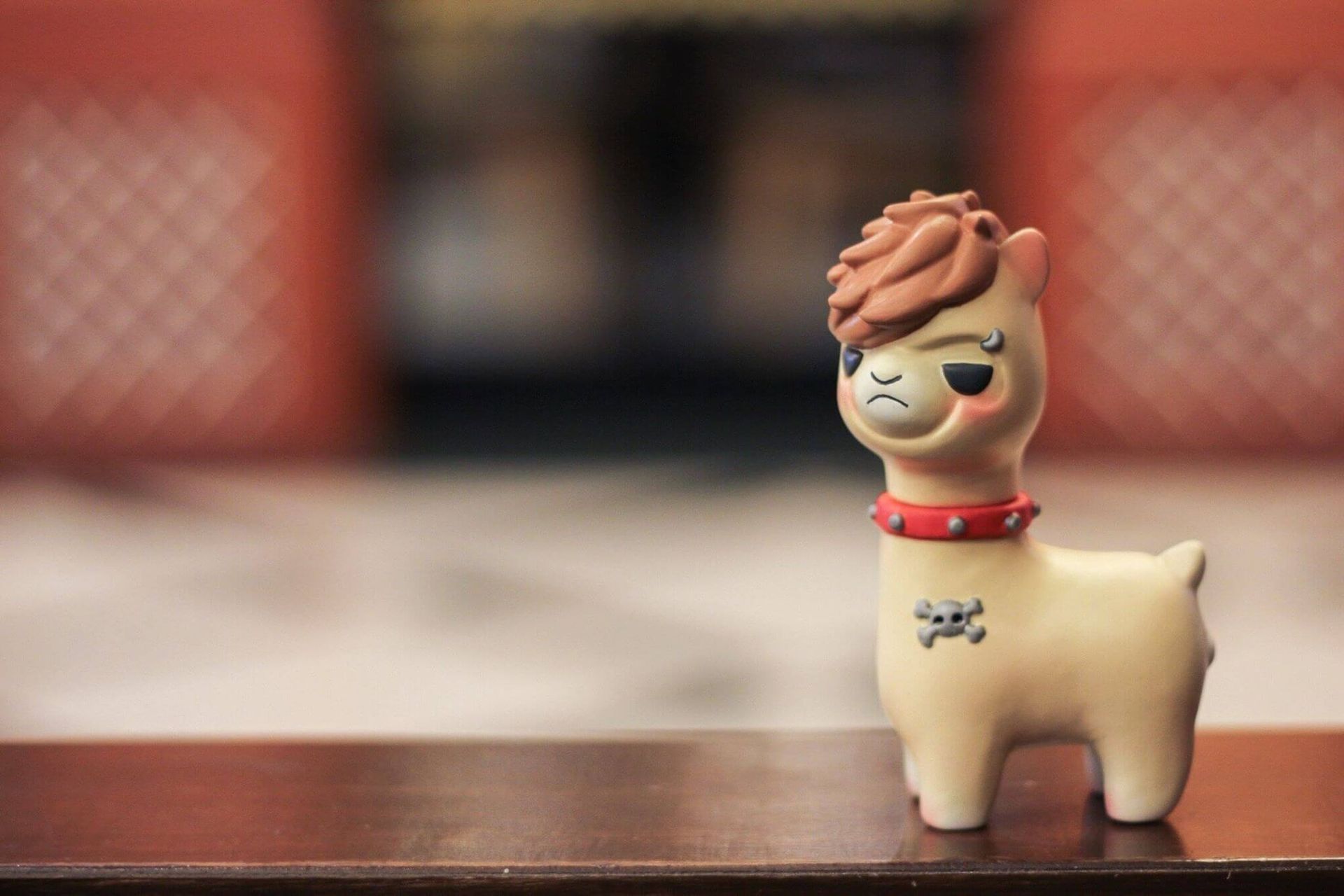 pakka-the-alpaca-2