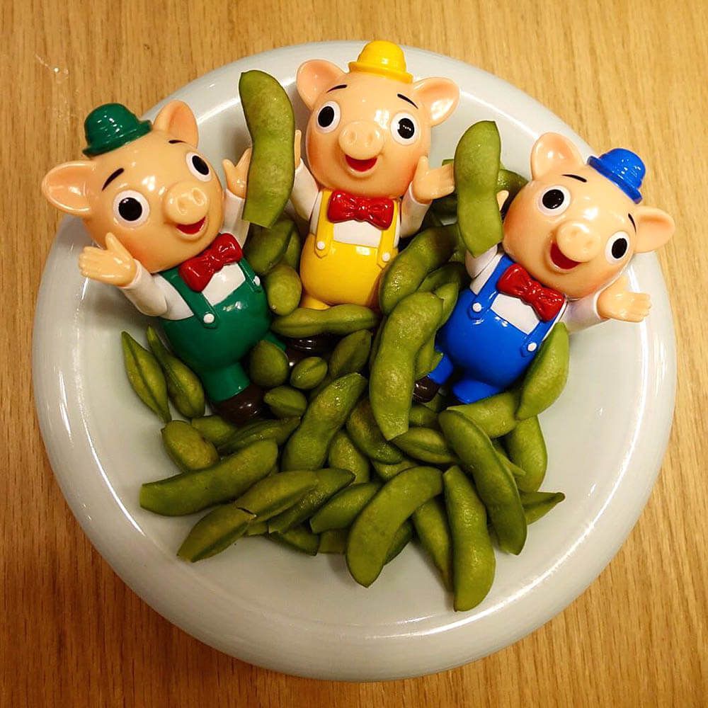 3 little pigs toy set