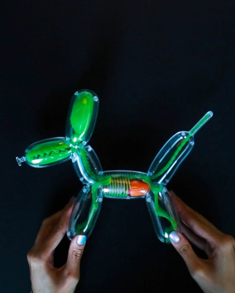 balloon dog anatomy by jason freeny