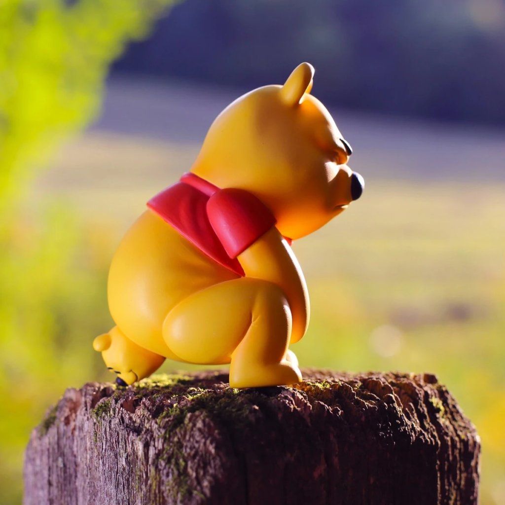 Poo Alexa