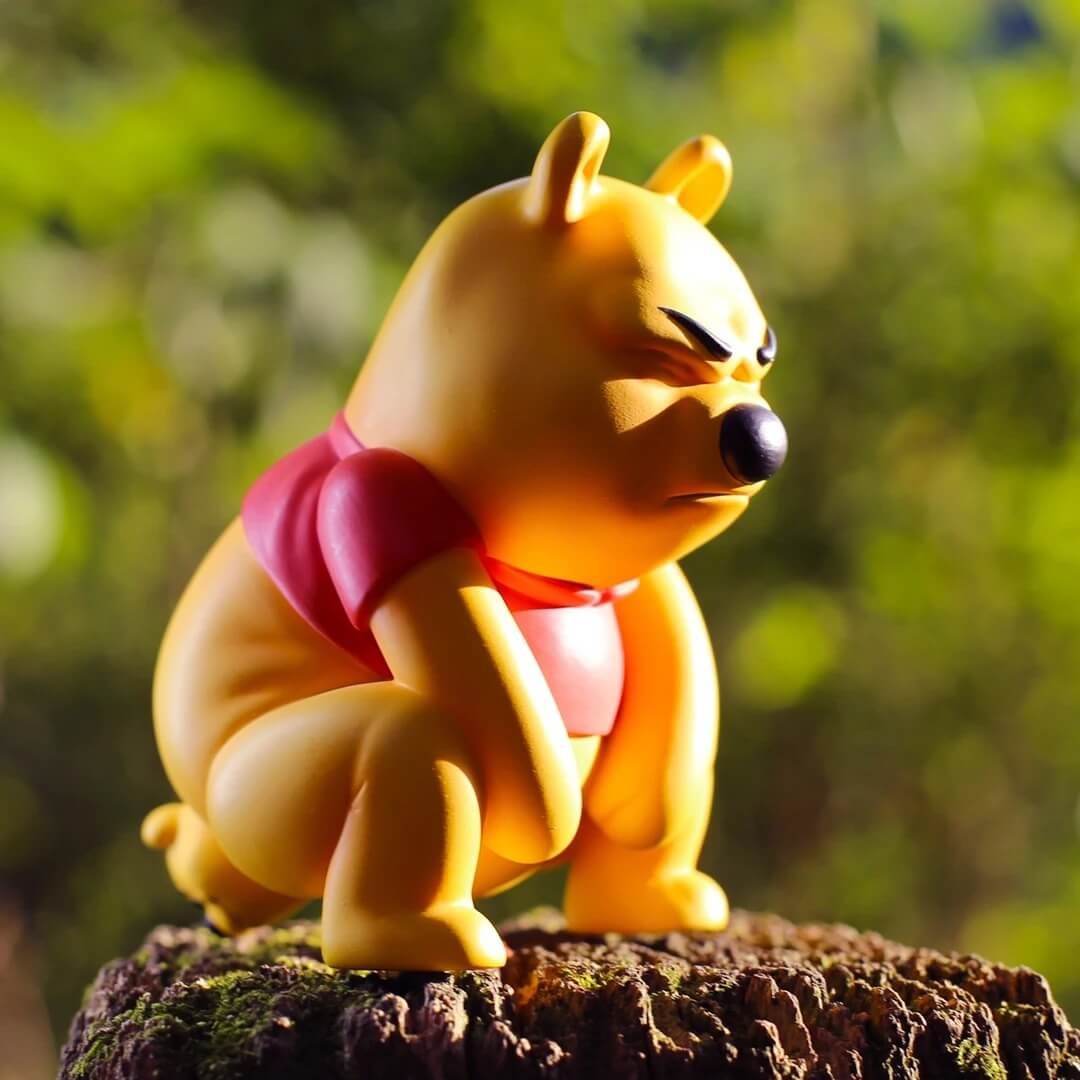 Poo Alexa