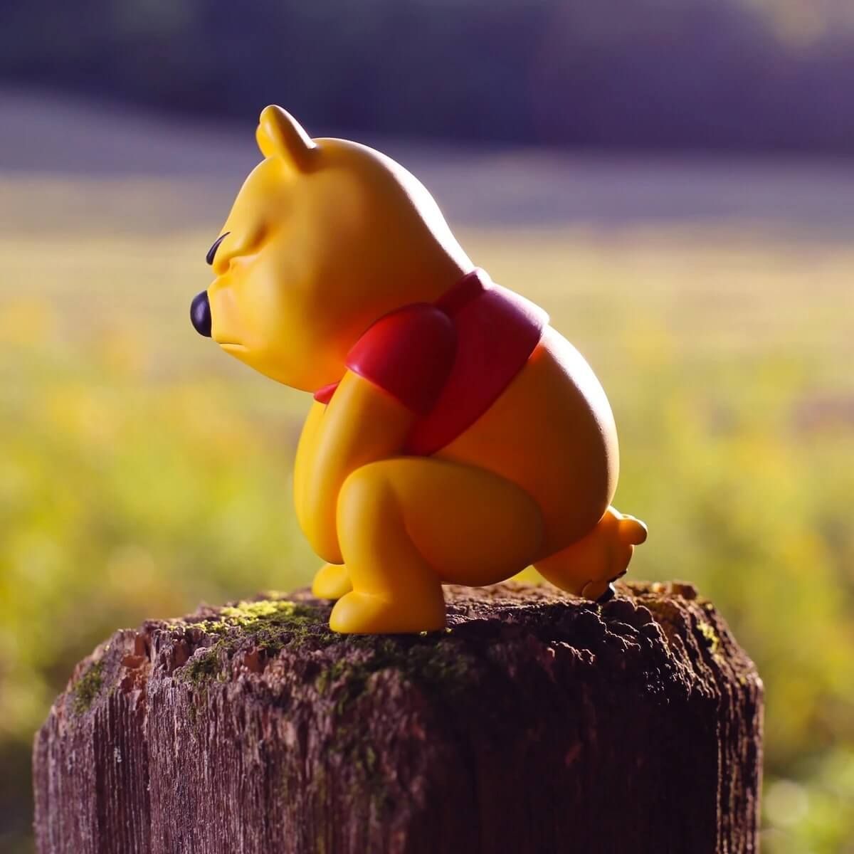 Poo Alexa
