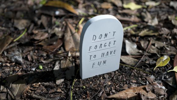 dont-forget-to-have-fun-mrbingo-featured