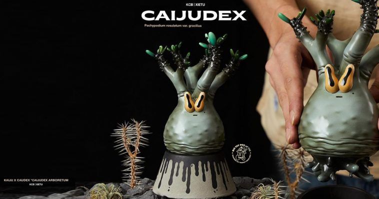 Amazon.co.jp: MEDICOM TOY / VCD Pachypodium Gracilius Var
