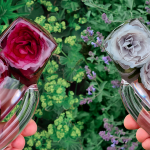 rosecast-stranger-flawtoys-featured