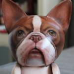 Profile picture of ken K