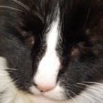 Profile picture of Sharon