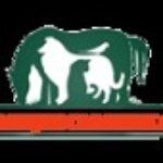 Profile picture of vuongquocloaivat